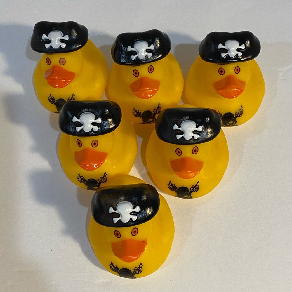 6 🏴‍☠️ Pirate Ducks
